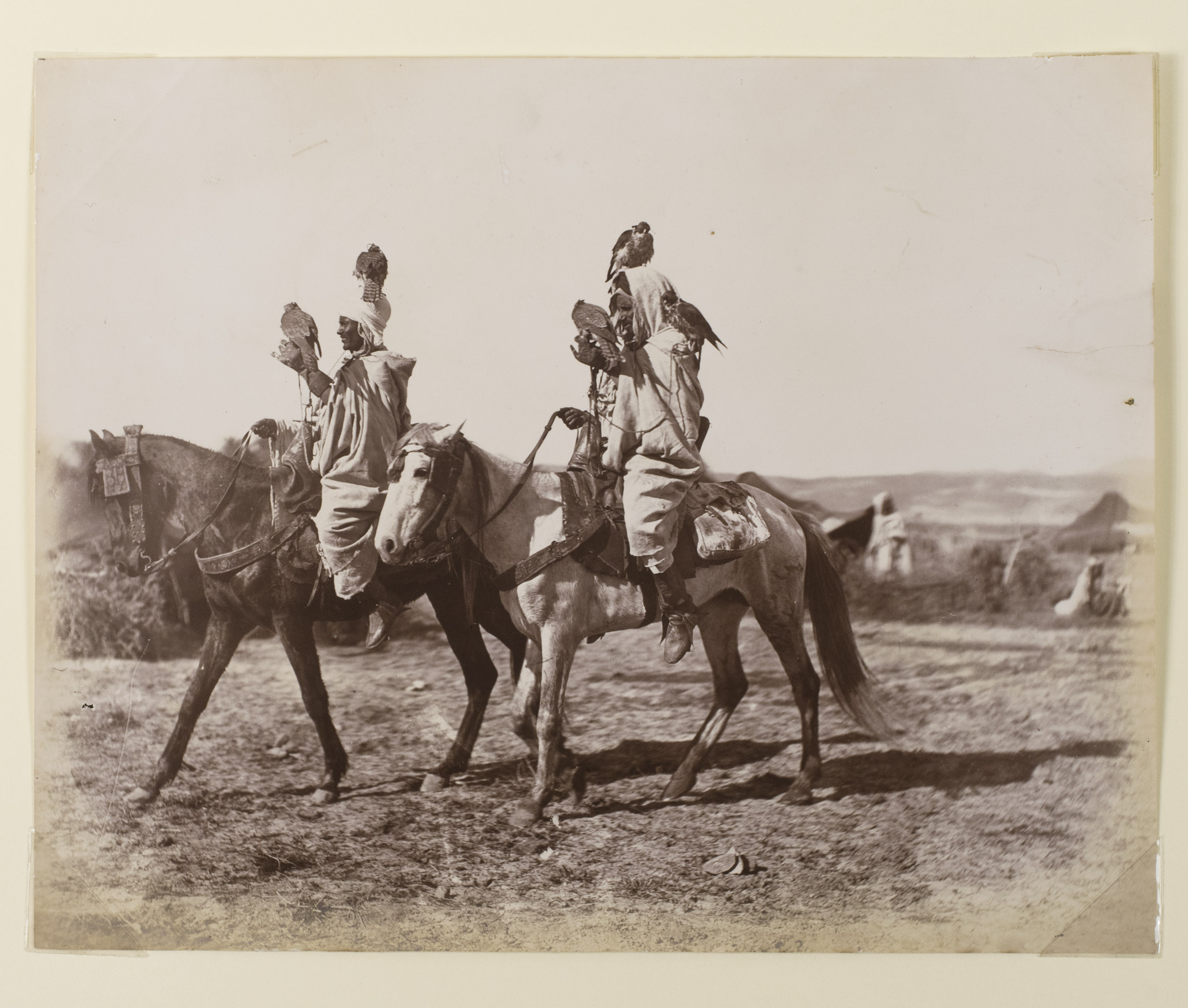 [PHOTOGRAPHY - FALCONRY]. - [Two Bedouins hunting with birds of prey].[Ca. 1880]. One albumen print (ca. 22 x 27.5 cm). Tipped onto a stiff paper mount (ca. 40 x 30 cm). Housed in a clear plastic sleeve.
