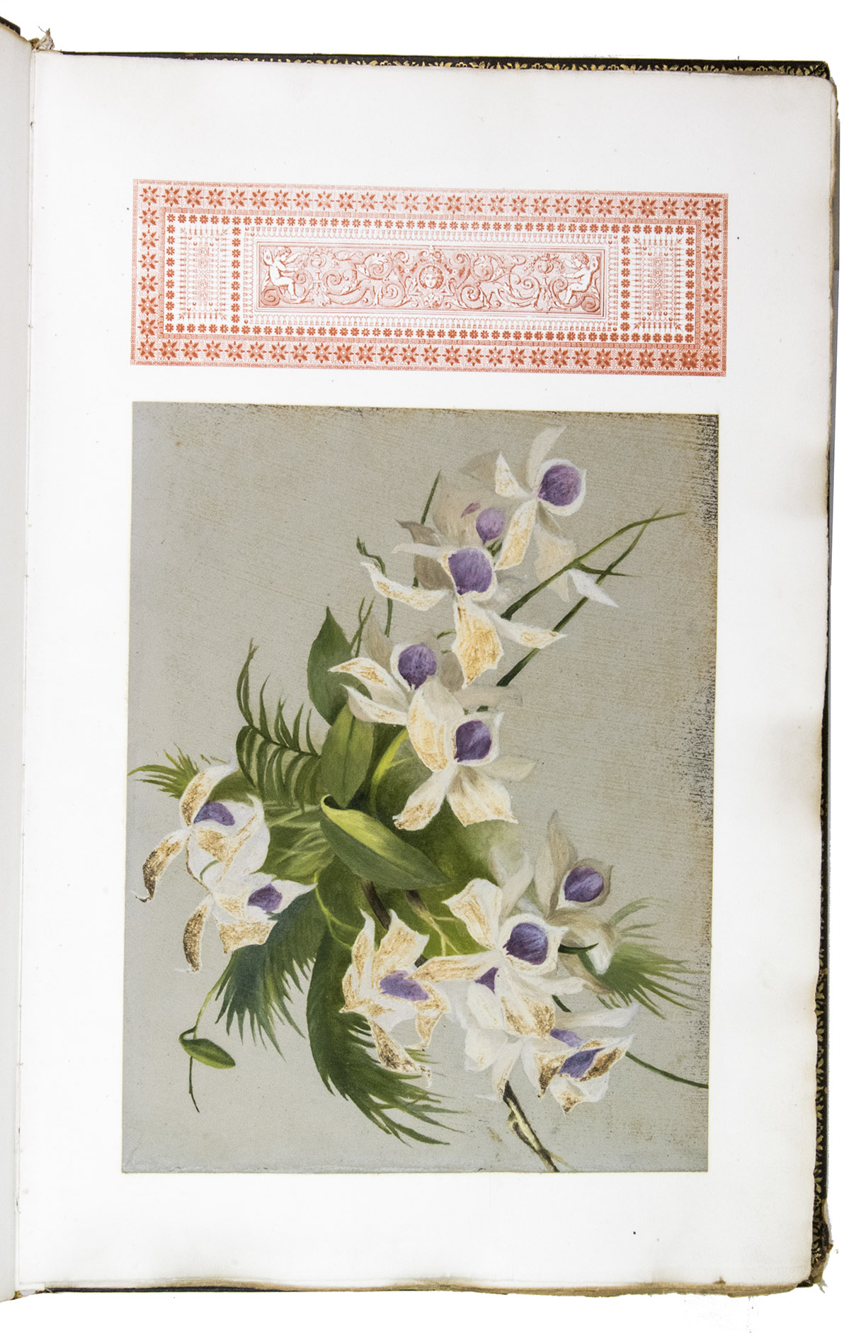 [WEDDING ALBUM - THE NETHERLANDS - GERMANY]. - Zur Erinnerung an die Hochzeits-feierlichkeiten von Ella de Ridder und August Janssen in Frankfurt a/M im August 1896.(Colophon:) Amsterdam, Calligrafie und Druck von Johan. K. Koning, [1896]. Large folio (ca. 51 x 33 cm). Wedding album comprising five manuscript texts of occasional plays (4 in German, 1 in Dutch), written in a neat cursive in blank ink on thick laid paper, each illuminated with a 4-line decorated initial in red, blue and white on a gold/bronze field, richly decorated with penwork in black ink (extending down into the inner margin). Each text is preceded by a letterpress title leaf set in neo-Gothic type, also used for the general title, several text leaves, and the colophon. Further with 1 gouache illustration on grey paper (sheet size ca. 32 x 24.5 cm, mounted on the first leaf) showing a bouquet of flowers, 14 printed ephemera relating to the 