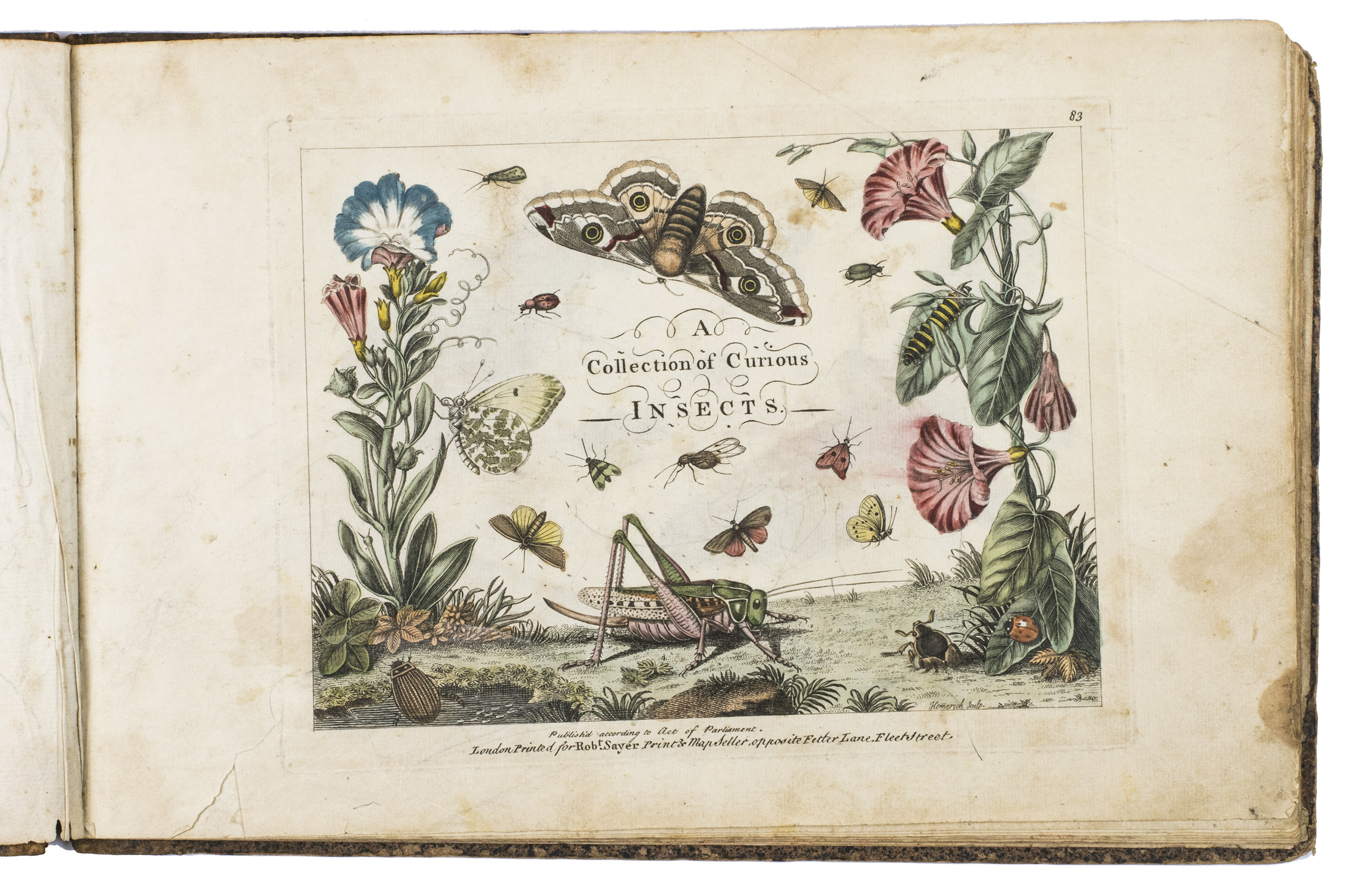 [RSEL VON ROSENHOF, August Johann and Cornelius Heinrich HEMMERICH (engravers)]. - A collection of curious insects.London, printed for Robert Sayer, [between 1760-1766]. Oblong 4to (ca. 20 x 30 cm). With a hand-coloured engraved title page, and 12 hand-coloured engraved plates. 19th-century gold tooled quarter brown calf, sprinkled paper sides.