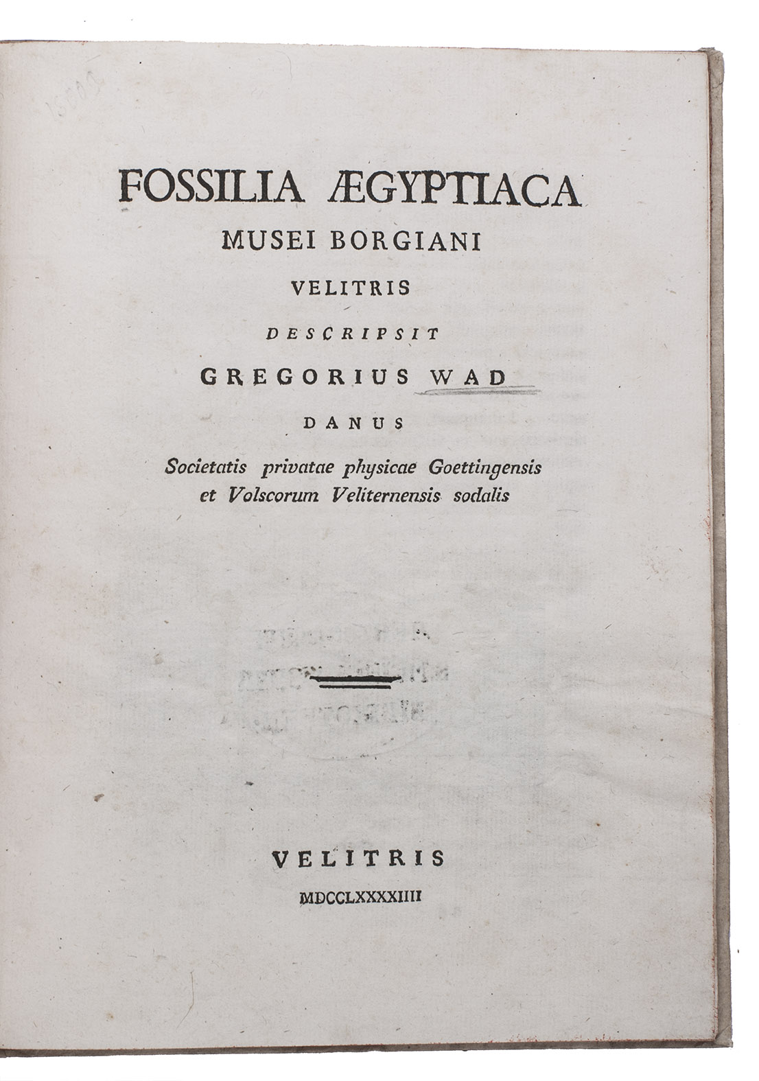 WAD, Gregers. - Fossilia Aegyptiaca Musei Borgiani Velitris. Velletri, 1794. 4to. Contemporary boards.