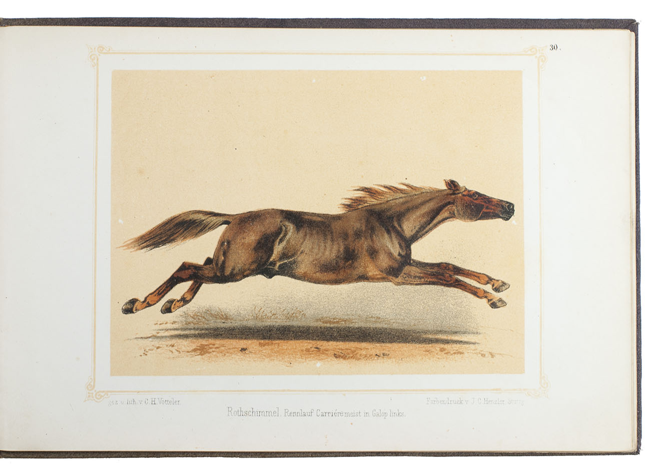 RUEFF, Gottlob Adolf von. - Race, Haar und Gang des Pferdes. Eine hippologische Monographie.Ravensburg, Eugen Ulmer, 1874. Oblong 8vo (17 x 25.5 cm). With 32 chromolithographed plates (in black with 3 or 4 colour tints) with showing horses in full profile, drawn and lithographed by C.H. Votteler and printed by J.C. Henzler (Stuttgart). Original publisher's gold- and blind-blocked maroon cloth.