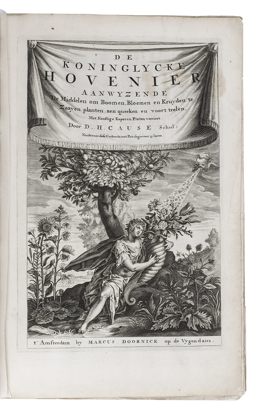 CAUS, Hendrik. - De koninglycke hovenier aanwyzende de middelen om boomen, bloemen en kruyden te zaayen, planten, aen queeken en voort teelen.Amsterdam, Marcus Doornick, [1676]. With engraved title-page and 31 engraved plates, including 2 bird's-eye views of a French and a Dutch royal garden, 5 plates with two pomological illustrations each, 8 plates with two illustrations of flowers each and 16 plates with a total of 32 garden designs.With: (2) COMMELIN, Jan. Nederlantze Hesperides, dat is, oeffening en gebruik van de limoen- en oranje-boomen, gestelt na den aardt, en climaat der Nederlanden.Amsterdam, Marcus Doornick, 1676. With engraved title-page and 26 engraved plates showing flowers, fruits and orangeries. 2 works in 1 volume. Folio (35 x 23 cm). Contemporary vellum, recased.