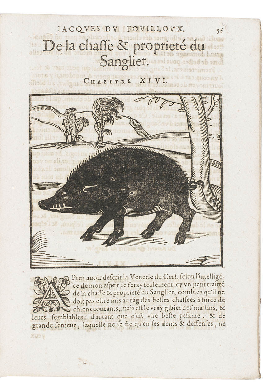 FOUILLOUX, Jacques du. - La venerie ... de nouveau reveu, & augmente du Miroir de fauconnerie.Paris, Pierre David, 1640. 4to. With 57 woodcut illustrations (plus 1 repeat) on integral leaves, including 1 on the title-page (3 full-page, further mostly 11 x 12 cm); woodcut music notes. Lacking part 2 on hawking (38 pp.). Contemporary limp sheepskin parchment.