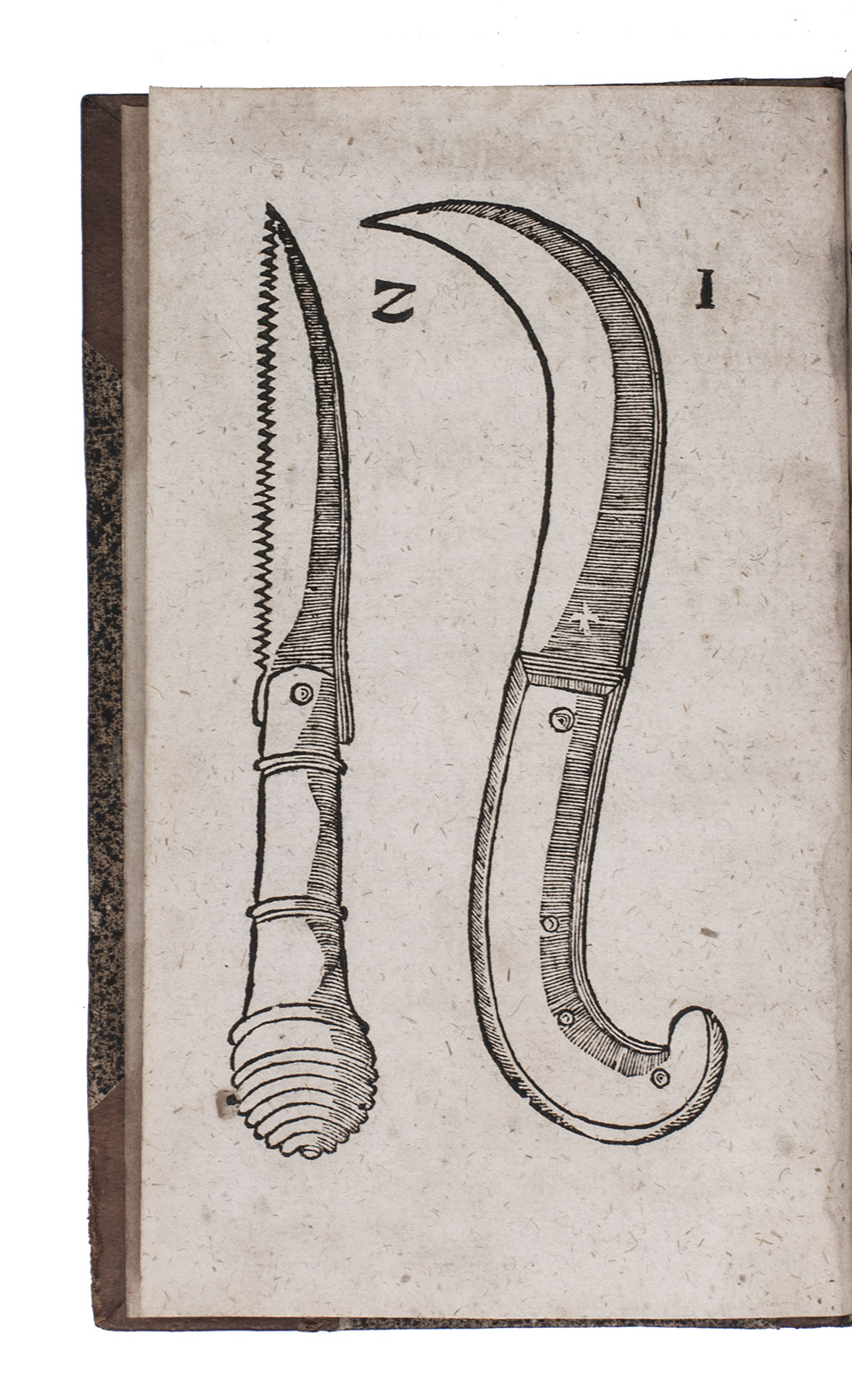 LIEGELSTEINER, George. - Wohlgezogener Zwerg-Baum oder Grndlicher Unterricht wie die Frantz-Bume gewartet werden mssen, Leipzig, Wolffgang Deer, 1747. 8vo. With woodcut frontispiece, 8 engraved figures on 1 folding plate, and about 30 woodcut figures in the text. Contemporary half tanned sheepskin, gold-tooled spine.