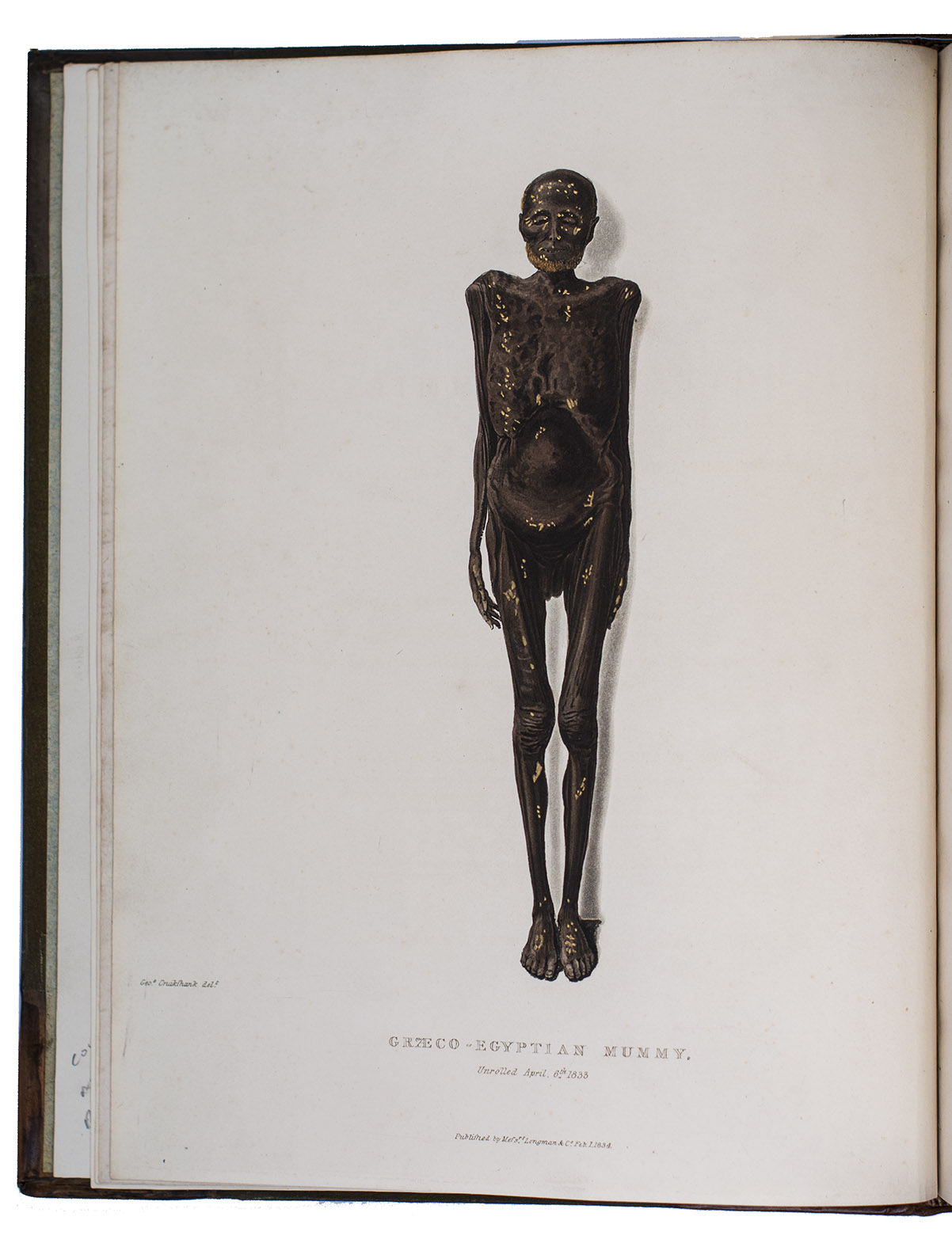 PETTIGREW, Thomas Joseph. - A history of Egyptian mummies, and an account of the worship and embalming of the sacred animals by the Egyptians; with remarks on the funeral ceremonies of different nations, and observations on the mummies of the Canary Islands, of the ancient Peruvians, Burman priests, &c.London, Longman, Rees, Orme, Brown, Green, and Longman (back of title-page and colophon: printed by P.P. Thoms), 1834. 4to. With 13 numbered lithographed plates (the first used as frontispiece), including 3 fully and 1 partly coloured by a contemporary hand, of which 2 highlighted in gold. Contemporary half calf, restored and rebacked with parts of the original backstrip laid down, with new tooling and title-label on spine, cloth sides, later endpapers.