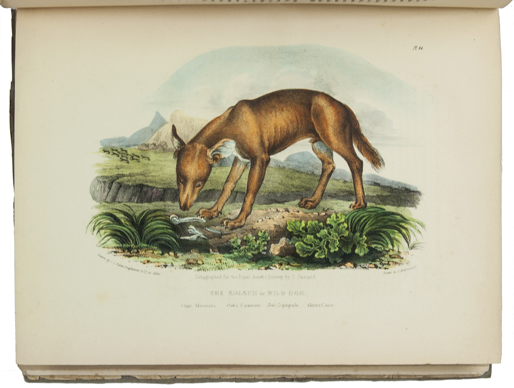 [ROYAL ASIATIC SOCIETY]. - Transactions of the Royal Asiatic Society of Great Britain and Ireland.London, 1824-1834. 3 volumes in 8 parts. 4to. With 80 lithographed plates, including several folding plates and 2 chromolithographed plates, and some smaller illustrations in text. Contemporary blue and grey paper wrappers, kept in two modern half morocco boxes.