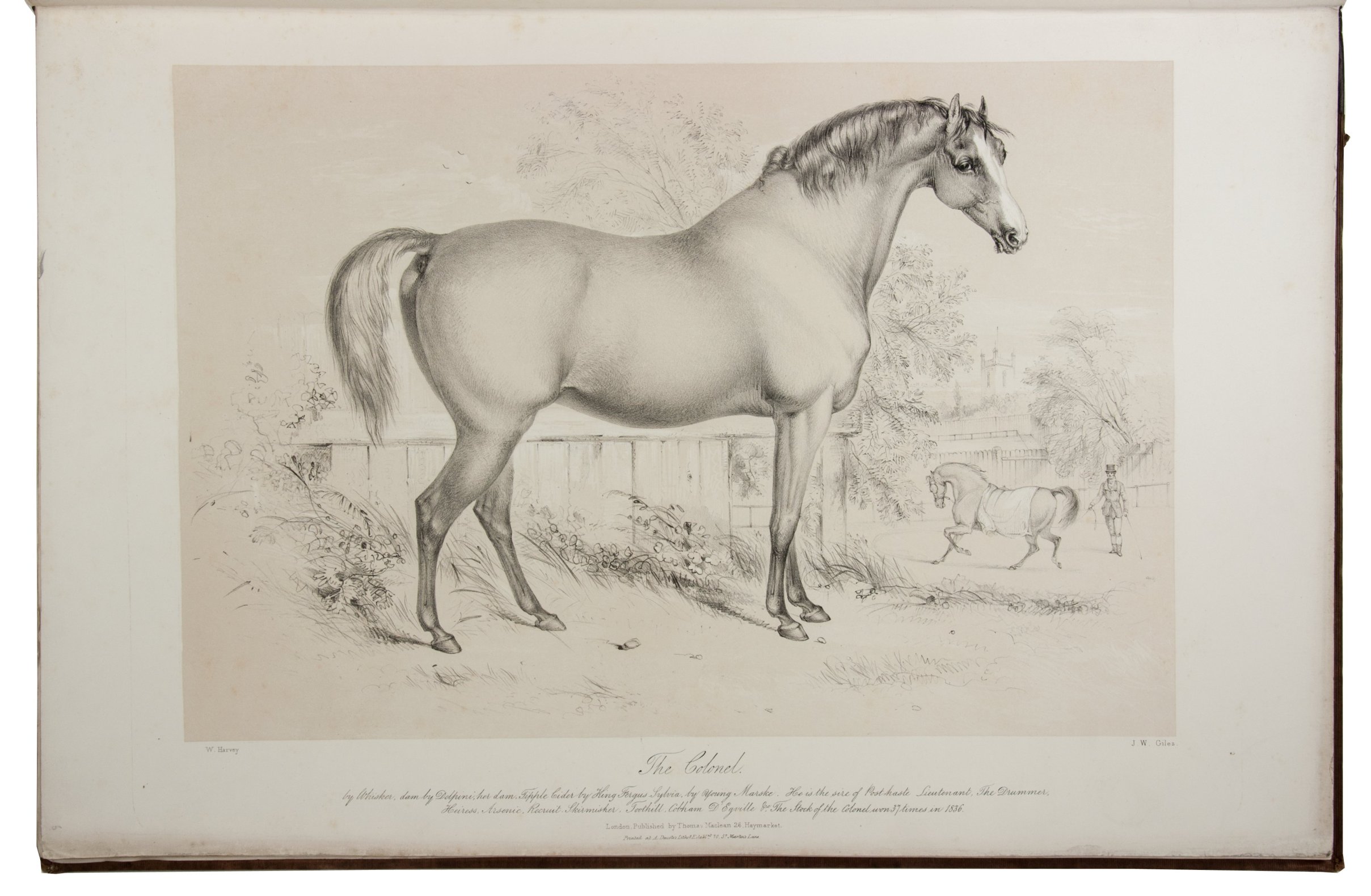 HARVEY, William. - Selections from the Royal stud, being portraits taken in October 1837, at Hampton Court, from life by William Harvey. Drawn on stone by and under the direction of R.J. Lane A.R.A. lithographer to Her Majesty.London, Thomas McLean (printed by Alfred Ducte and J. Graf), 1838. 1mo (55.5 x 38 cm). With lithographed title-page, lithographed list of plates, and 12 tinted lithographed plates by Richard James Lane and W.J. Giles after William Harvey. Contemporary cloth, gold title on front board (