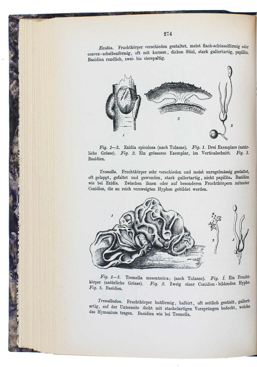 RABENHORST, Ludwig and Georg WINTER. - Kryptogamen-Flora von Deutschland, Oesterreich und der Schweiz. Zweite Auglage ... Erster band: Pilze.Leipzig, Eduard Kummer, 1884 (Weinheim, J. Cramer, 1963). 8vo. Modern black half calf.