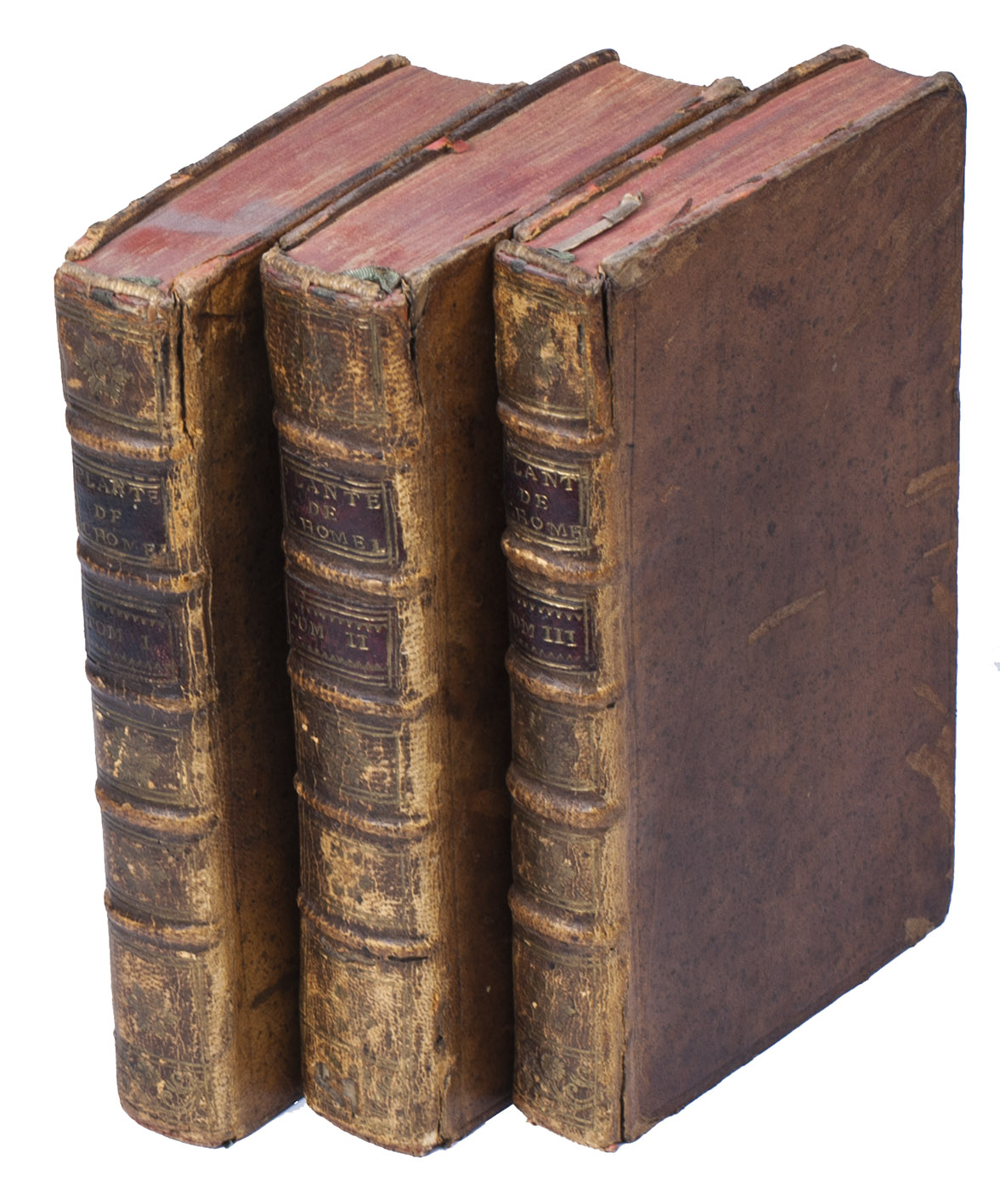 CHOMEL, Pierre-Jean-Baptiste. - Abreg de l'histoire des plantes usuelles, dans lequel on donne leurs noms diffrens, tant Franois que Latins.Including: Catalogus plantarum officinalium, secumdum earum facultates dispositus.Paris, sons of Nyon, 1738. 3 volumes. 8vo. Contemporary tanned sheepskin, gold-tooled spines.