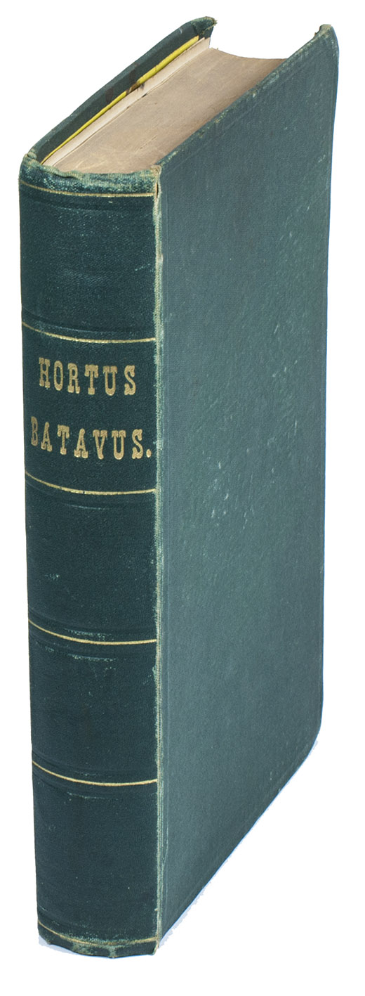 EEDEN, Frederik Willem van. - Hortus Batavus. Korte beschrijving van in- en uitheemsche planten, heesters en boomen, die voor de Nederlandsche tuinen kunnen worden aanbevolen. Amsterdam, J.C. Sepp en Zoon, 1868. Large 8vo. Green cloth with gold-tooled title, yellow endpapers.