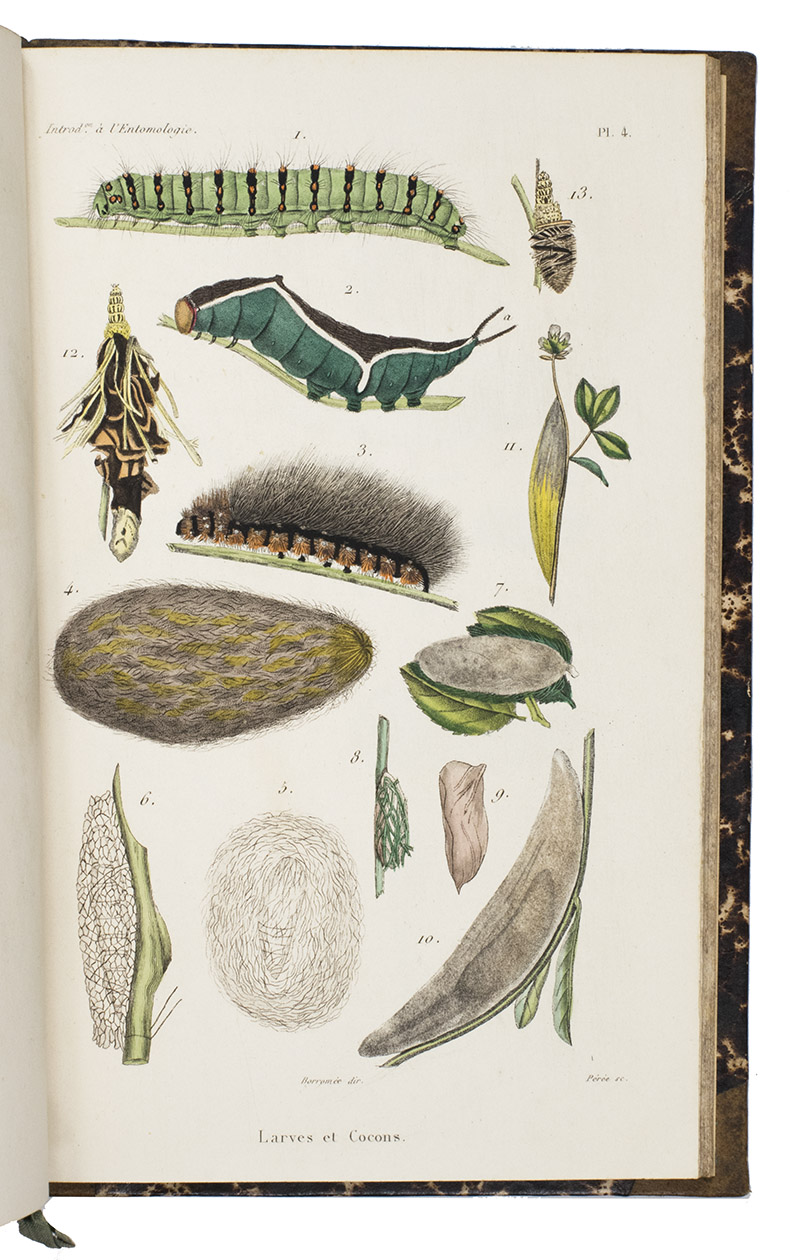 LACORDAIRE, Jean Thodore. - Introduction  l'entomologie comprenant les principes gnraux de l'anatomie et de la physiologie des insectes, ...Paris, Librairie Encyclopdique de Roret, 1834-1838. 2 text volumes and 1 atlas volume. 8vo. With 24 engraved plates of insects and their anatomy (3 hand-coloured) in the seperate atlas volume. Contemporary half calf.