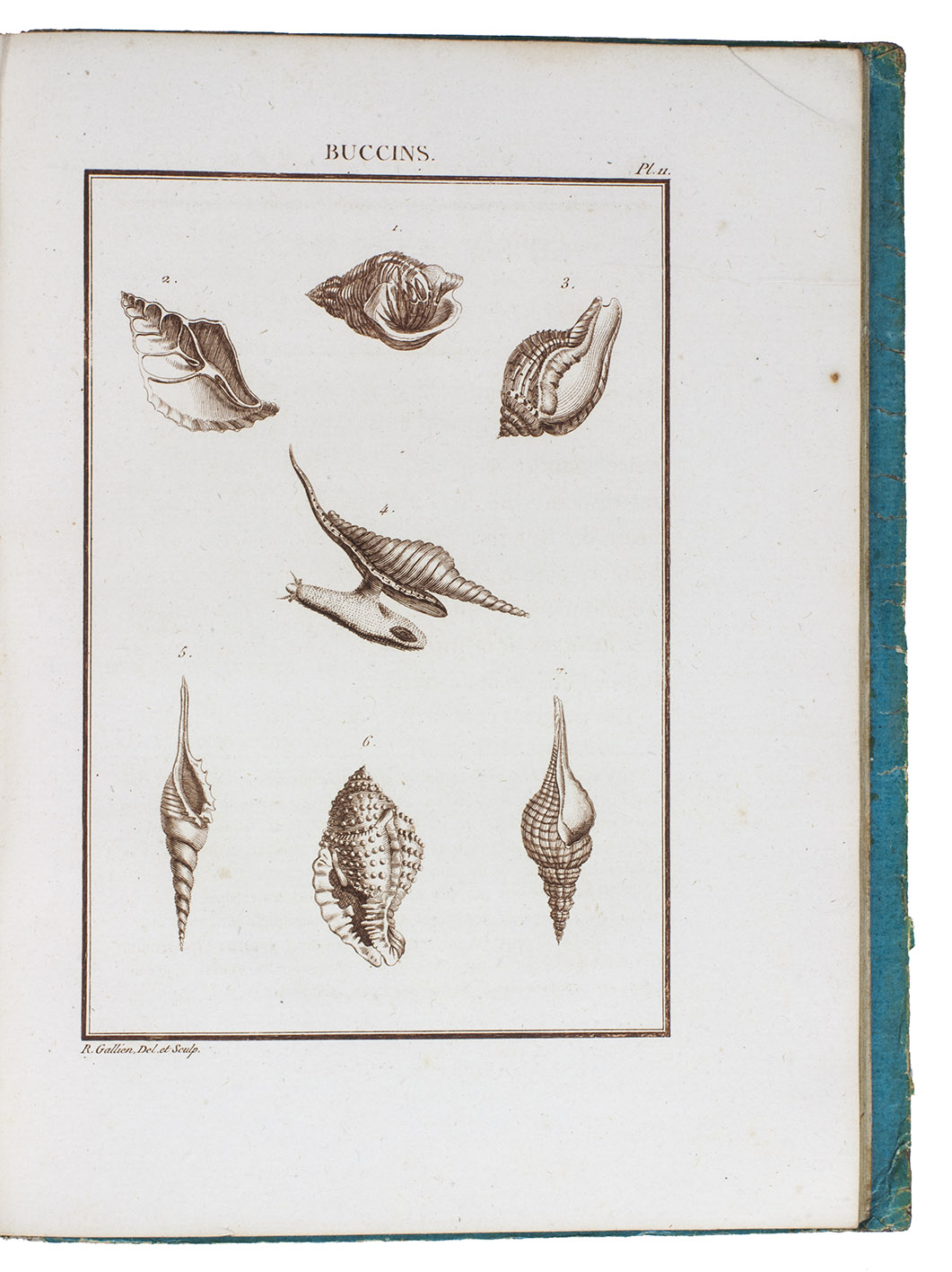 CUBIRES, Simon Louis Pierre. - Histoire abrge des coquillages de mer, de leurs moeurs, et de leurs amours.Versailles, P.D. Pierres, An VIII (1799/1800). 4to. With an engraved headpiece and 21 engraved plates printed in brown. Contemporary blue boards.