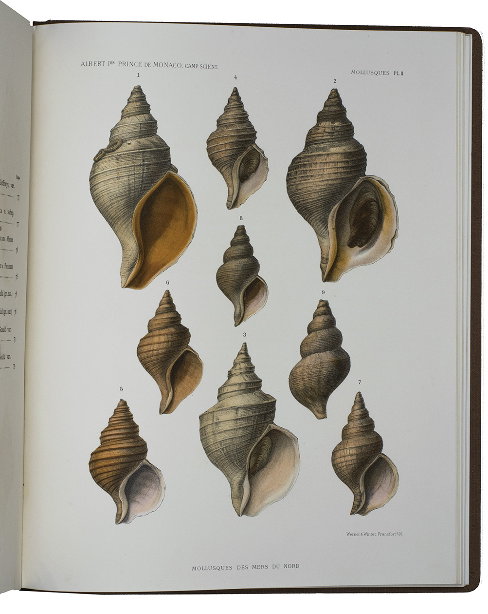 [ALBERT I of Monaco]. DAUTZENBERG, Philippe & Henri FISCHER. - Mollusques provenant des campagnes de l'Hirondelle et de la Princesse-Alice dans les Mers du Nord.Monaco, Imprimerie de Monaco, 1912. Large 4to (34 x 26.5 cm). With 2 maps and 11 coloured plates. Modern cloth.