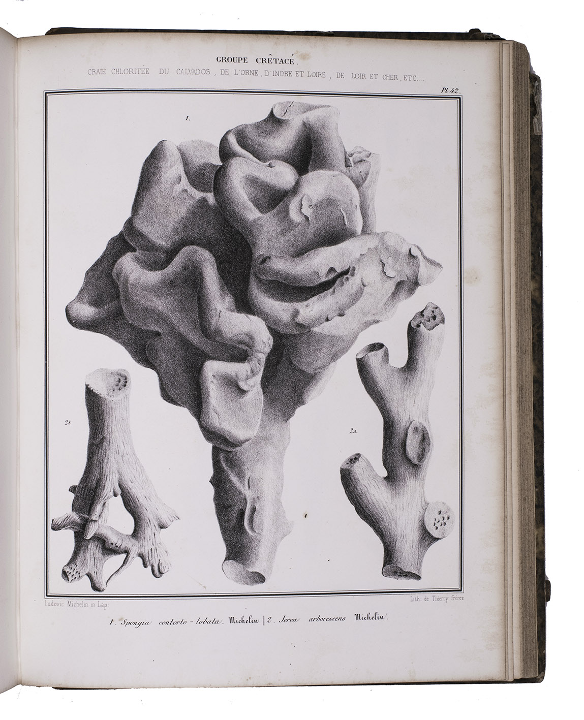 MICHELIN, Jean Louis Hardouin. - Iconographie zoophytologique, description par localits et terrains des polypiers fossiles de France et pays environnants.Paris, P. Bertrand (back of title-page: printed by Fain & Thunot), 1840-1847. 4to. With 79 lithographed plates by Ludovic Michelin and Delarue fils. Contemporary half calf.