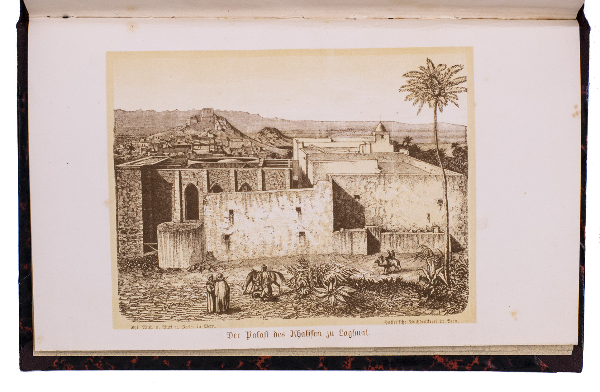 LOCHER, Friedrich. - Nach den Oasen von Laghuat.Bern, Haller, 1864. 8vo. With a tinted lithographed frontispiece showing the palace of the khalif in Laghouat and a folding lithographed map of the northern part of Algeria. Contemporary red half cloth.