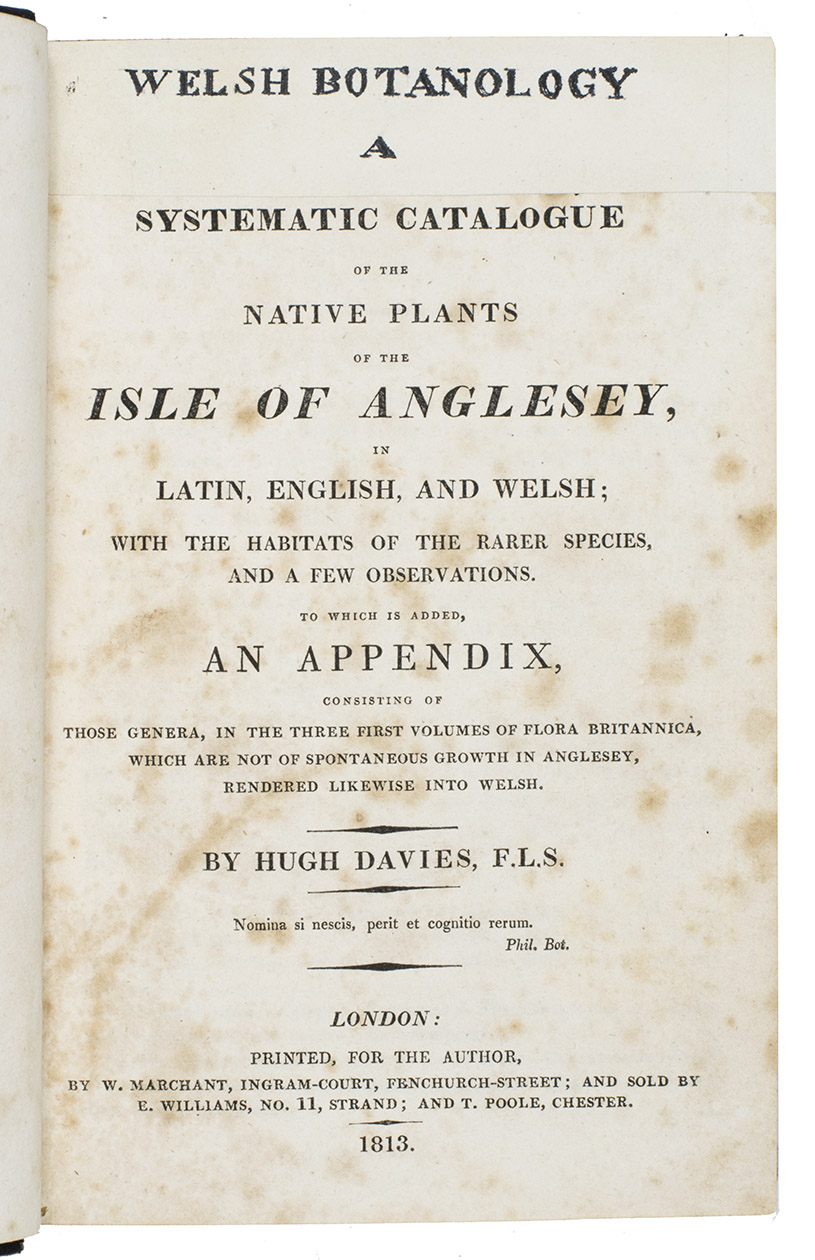 DAVIES, Hugh. - Welsh botanology. A systematic catalogue of the native plants of the Isle of Anglesey, in Latin, English, and Welsh; with the habitats of the rarer species, and a few observations. Including: An alphabetical catalogue of the Welsh names of vegetables rendered into Latin and English; with some account of the qualities, economical or medicinal, of the most remarkable.London, for the author by W. Marchant, 1813. 2 works (the 1st in 2 parts) in 1 volume. 8vo. With 1 engraved plate, often lacking. With: (2) PAGE, William Bridgewater. Page’s prodromus; as a general nomenclature of all the plants, indigenous and exotic, cultivated in the Southampton Botanic Gardens: arranged, alphabetically … trees, shrubs herbaceous … an appendix, containing selected lists of annuals; all the choicest kinds of fruit … London, John Murray, 1818.19th-century black half sheepskin with marbled sides, new endpapers.