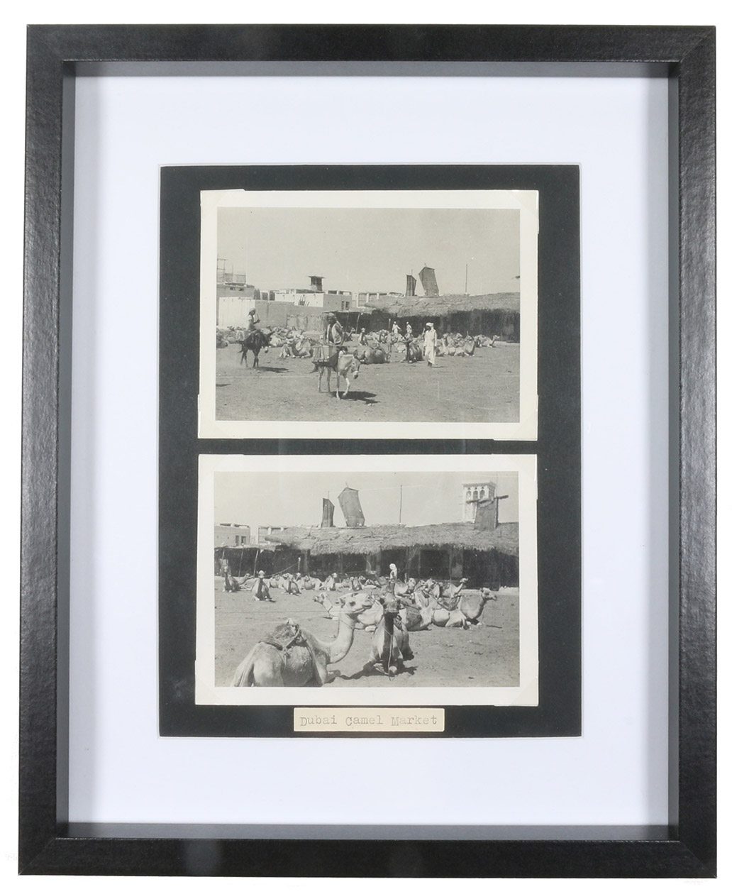 [DUBAI CAMEL MARKET]. - Dubai camel market.No place, [ca. 1930]. 2 photos (ca. 8.5 x 11 cm). Mounted on backing cardboard. In black picture frame (22 x 27 cm).