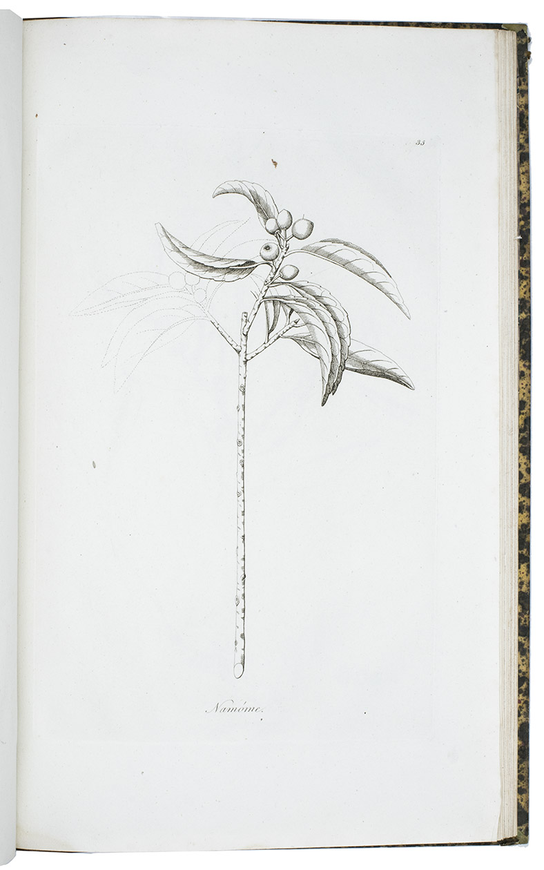 KAEMPFER, Engelbert (Sir Joseph BANKS, ed.). - Icones select plantarum, quas in Japonia collegit et delineavit.London, [Library of the British Museum], 1791.  Folio (42 x 26.5 cm.). With 59 etched plates, (8 are double-page), by Daniel Mackenzie. Slightly later half calf, marbled sides, gold-tooled monogram AL on spine.