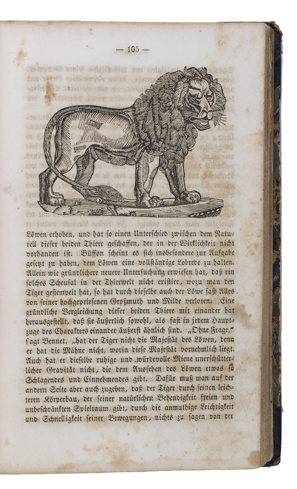 REUBELT, John Adam. - Kurzgefates Handbuch der Naturgeschichte. Enthaltend wissenschaftliche und populre Beschreibungen von dem Menschen, den Sugethieren, Vgeln, Amphibien, Fischen, Weich- und Gliederthieren.Pottsville [Pennsylvania], C.W. Gnther and the author, 1848. 8vo. With numerous woodcuts in text, depicting men and animals. Contemporary black half sheepskin.