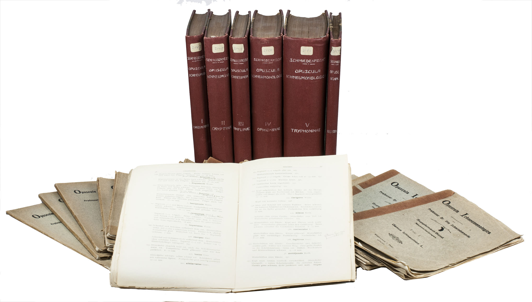 SCHMIEDEKNECHT, Otto. - Opuscula ichneumonologica.Blankenburg, 1902-1927[-1936]. 6 volumes + 25 supplement volumes. 8vo. Contemporary half cloth; supplement volumes original publishers printed-paper wrappers.